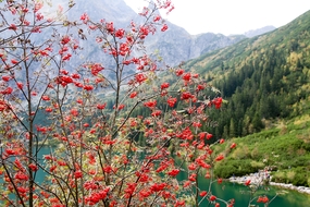 秋季扎科帕内自然风光摄影图片